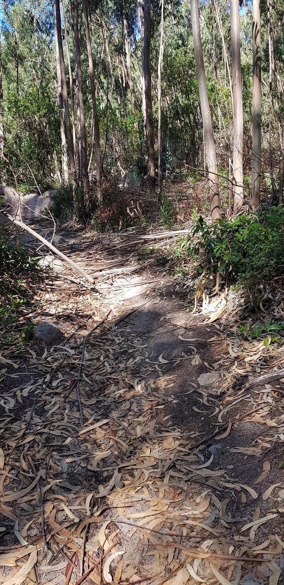 Barragem do Rio da Mula Sintra